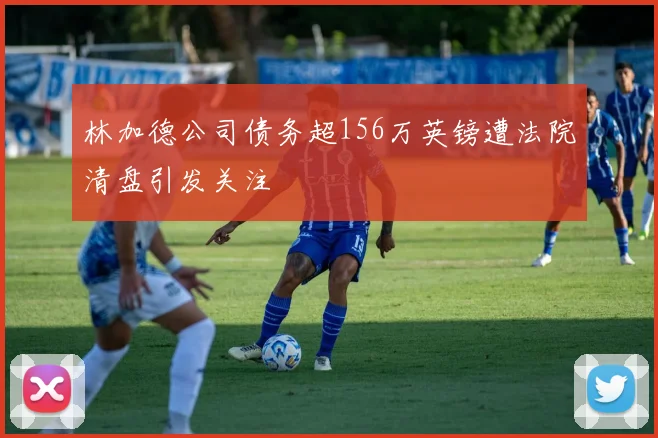 林加德公司债务超156万英镑遭法院清盘引发关注
