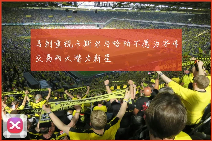 马刺重视卡斯尔与哈珀不愿为字母交易两大潜力新星