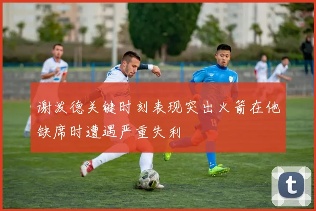 谢泼德关键时刻表现突出火箭在他缺席时遭遇严重失利