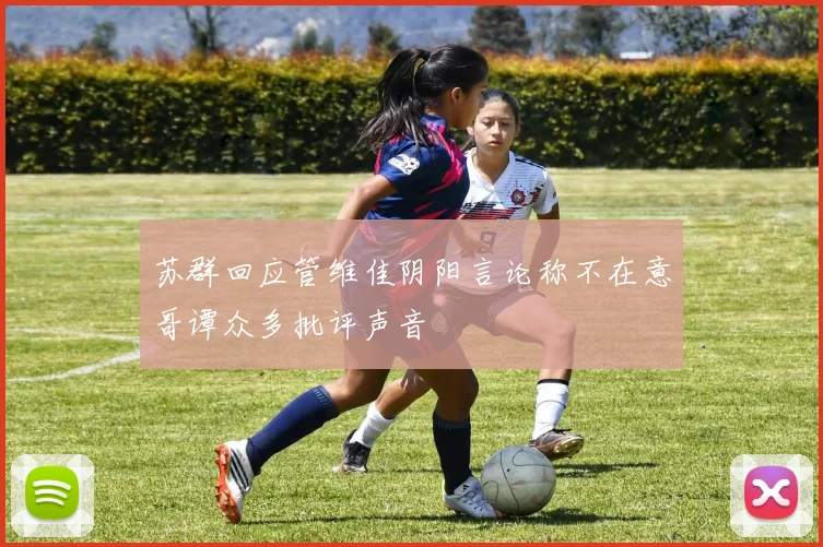 苏群回应管维佳阴阳言论称不在意哥谭众多批评声音
