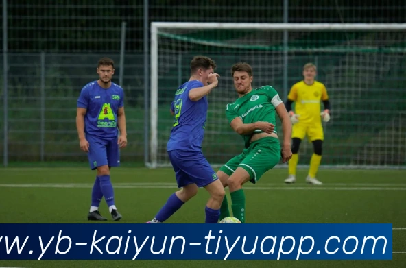 App Interface Preview