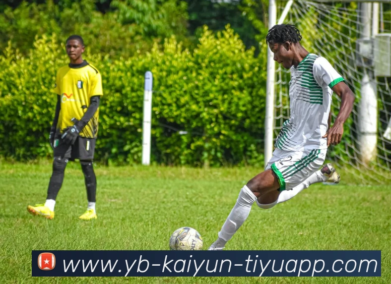 开云体育APP 封面图